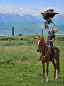 Country image
